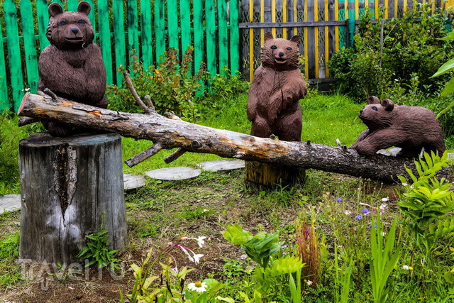 Каргопольский эко-парк "Медвежий край"