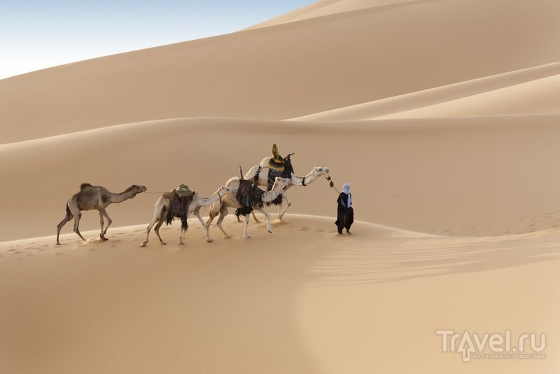 Караван в алжирской пустыне