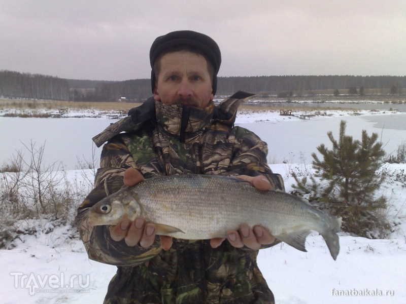 Байкальская рыба