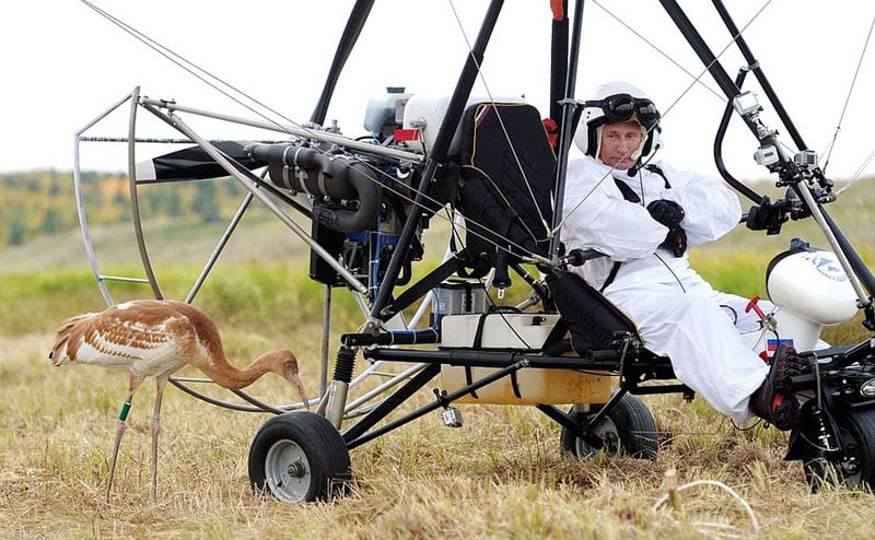 В.В. Путин перед полетом со стерхами
