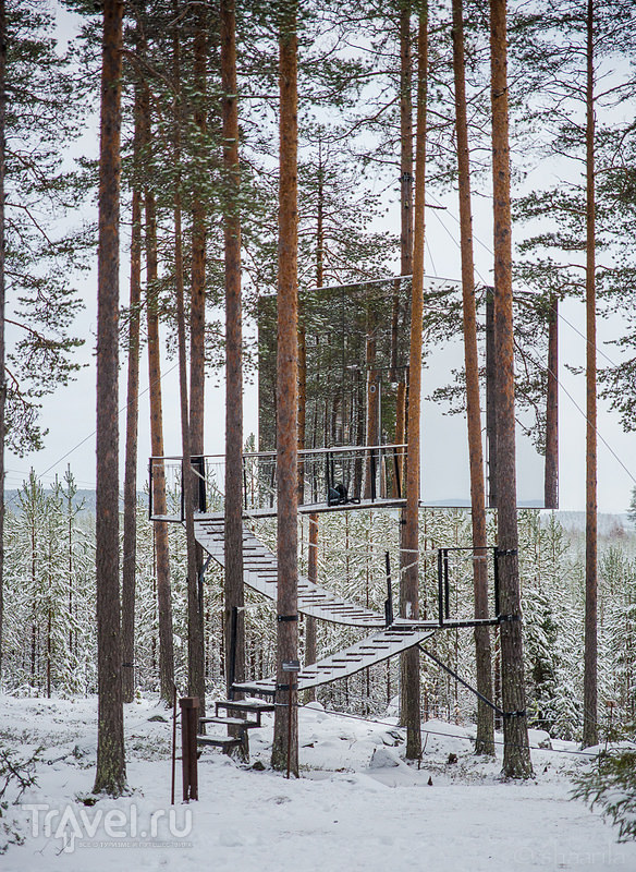 Секреты шведского леса