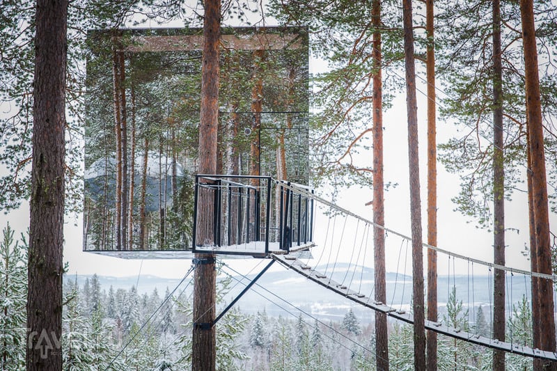 Секреты шведского леса