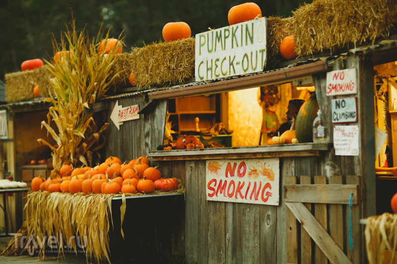 The Arata Pumpkin Farm