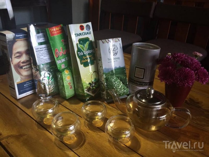Независимая экспертиза популярных вьетнамских чаёв. 6 улунов. 5 мнений