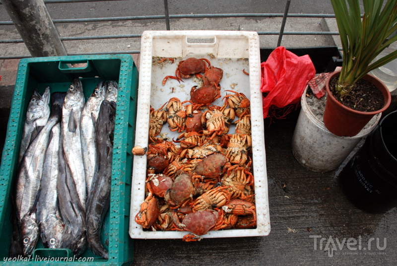 Чили - сбыча мечт! Край вулканов и озер. Рынок Анхельмо в Пуэрто Монт. Пикорокос - совершенная еда! / Фото из Чили