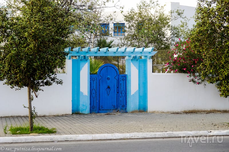 Тунисские каникулы. Ясмин Хаммамет / Фото из Туниса