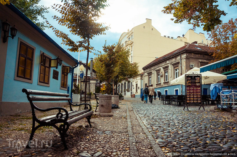 Осенние зарисовки из Белграда / Фото из Сербии