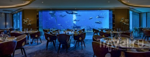 Интерьер подводного ресторана Ossiano