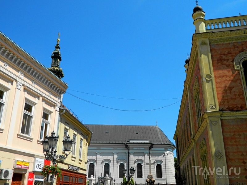 Новый сад сербия фото