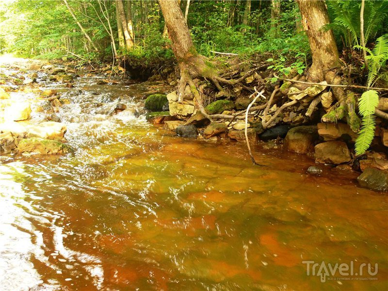 Каньон реки рагуши фото