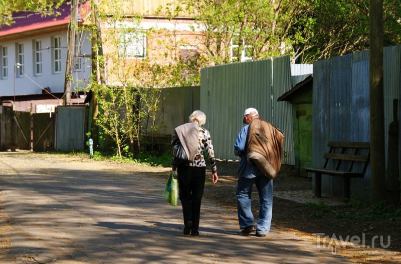 Дзен из города в деревню последнее видео. Песня последняя деревня вешнеевсеий