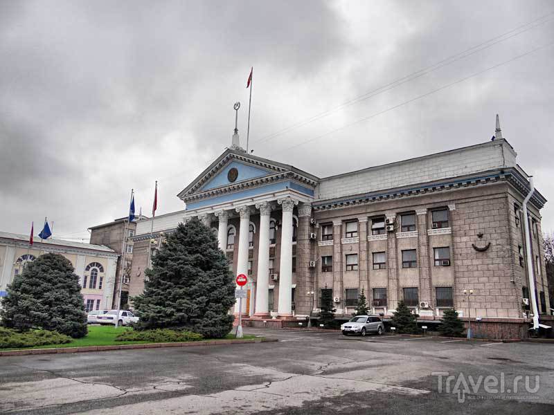 Академия туризма бишкек фото